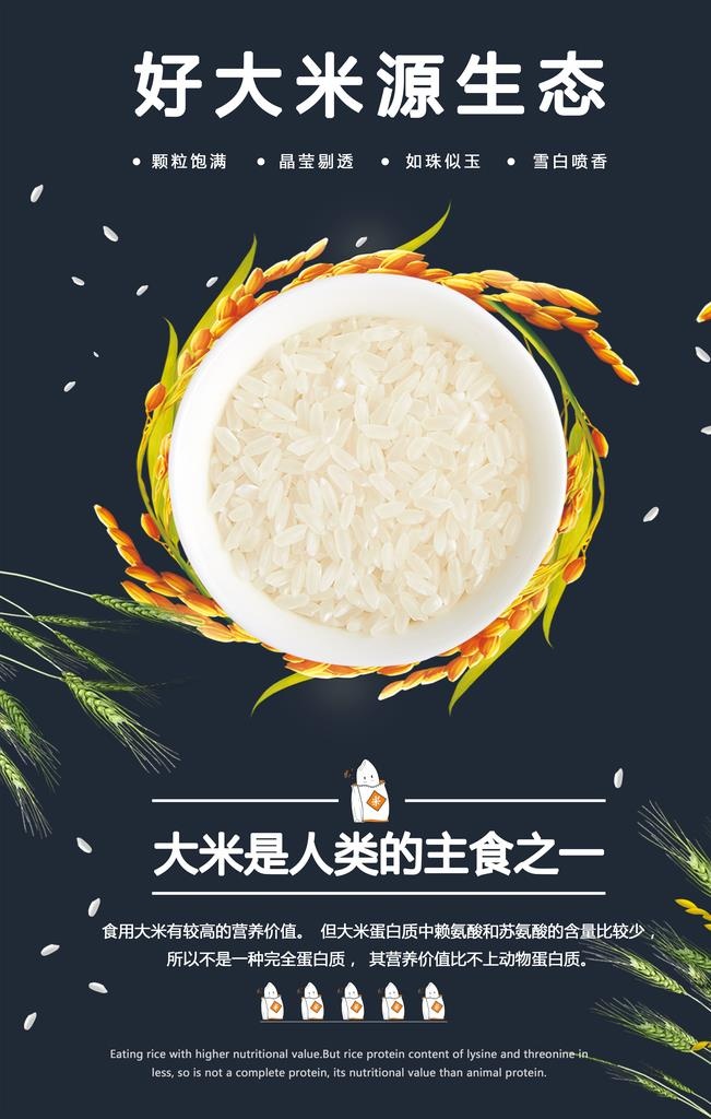 原生态好大米海报图片(3543x5315)psd模版下载