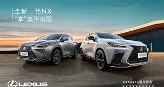 雷克萨斯NX图片