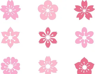 粉色卡通腊梅图图片