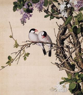 郎世宁 紫白丁香图片