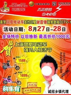 凤凰电动车图片