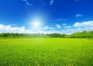 蓝天阳光草地图片