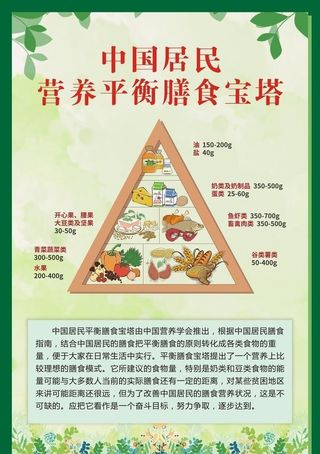 平衡膳食宝塔图片