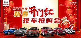 新春开门红现车抢购会图片