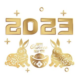 兔年元素图片