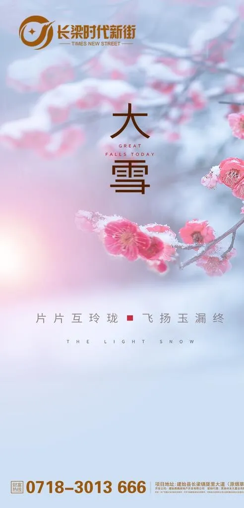 地产大雪图片(900x1758)psd模版下载