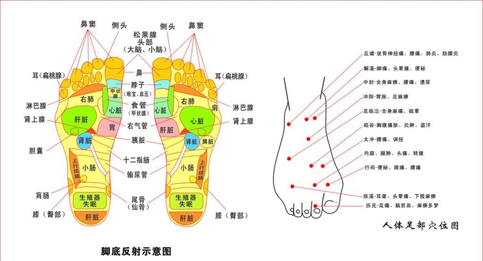 脚底穴位图片