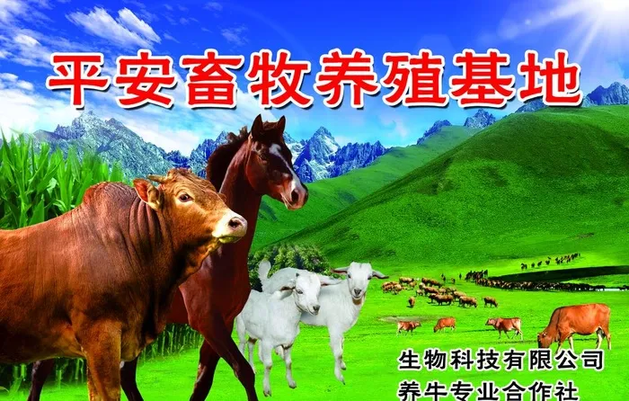 养殖场图片(5945x3976)psd模版下载