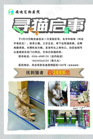 寻猫启事图片