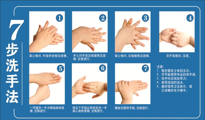七步洗手法图片