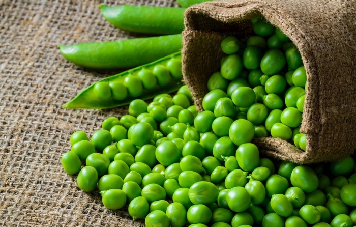 豌豆             图片