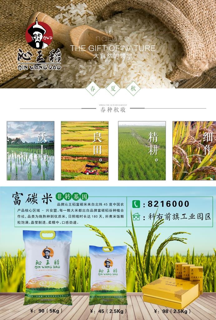 大米宣传单图片(2480x3508)psd模版下载