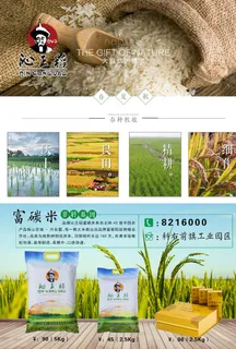 大米宣传单图片