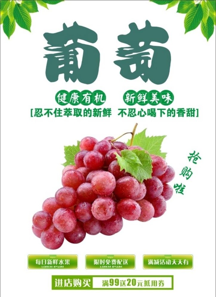 葡萄海报图片cdr矢量模版下载