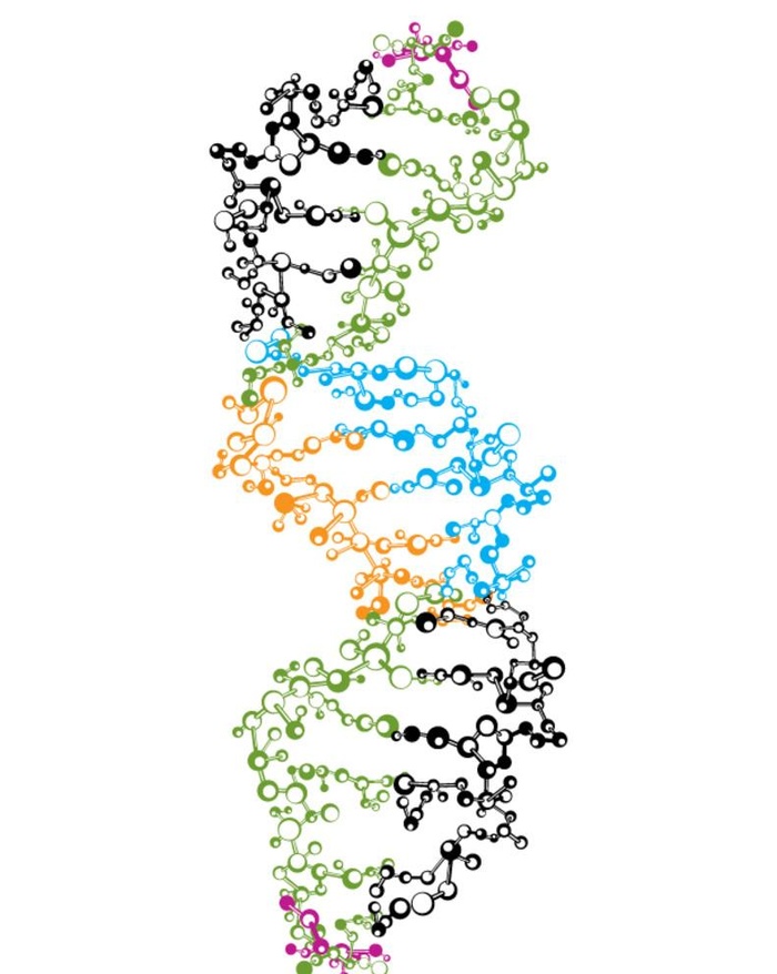 细胞图片ai矢量模版下载