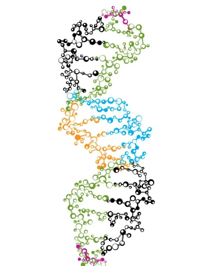 细胞图片ai矢量模版下载