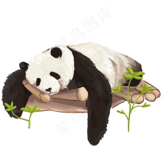 手绘熊猫图片