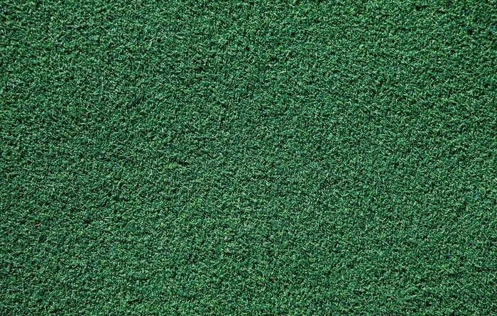 草坪肌理图片