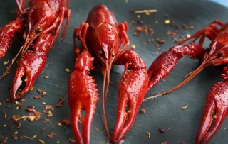 小龙虾图片
