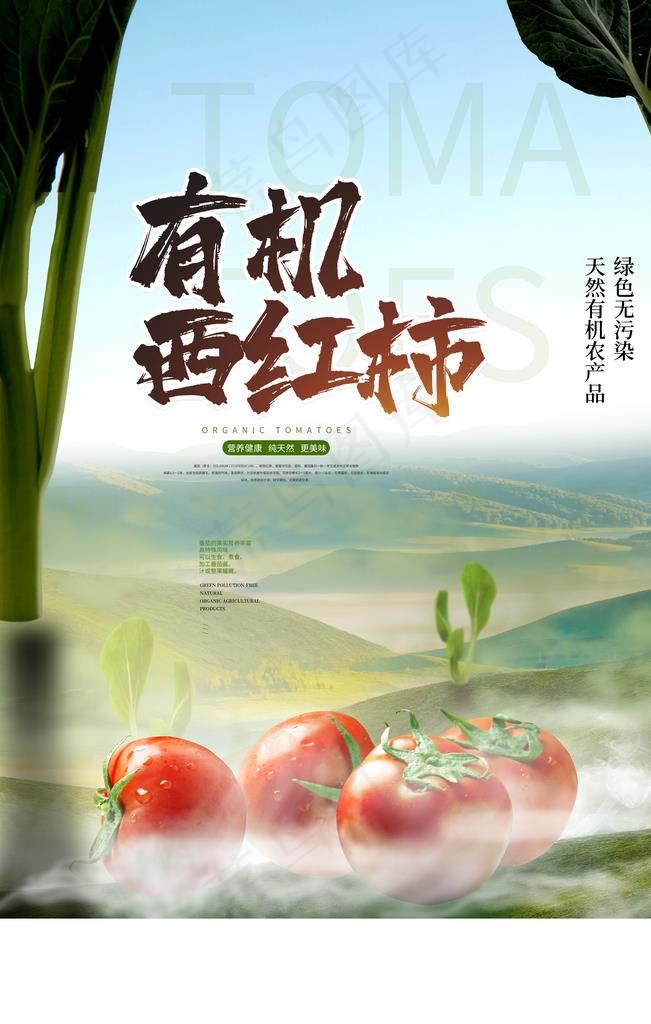 有机西红柿促销活动宣传海报素材图片psd模版下载