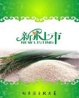 新米上市 大米海报图片