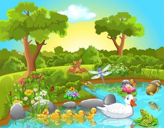 森林动物插画矢量素材图片