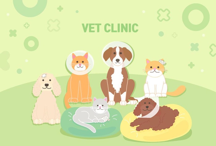 宠物动物插画图片