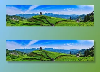 伍家台茶园图片