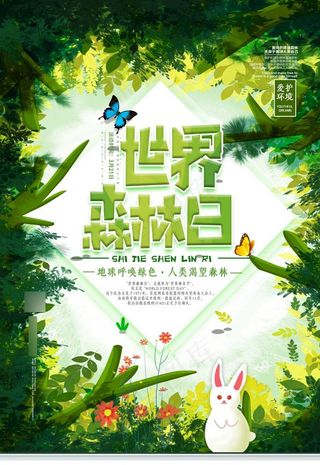 世界森林日图片