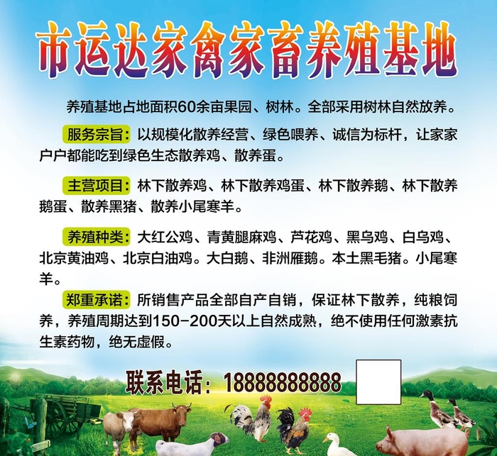 家禽家畜养殖基地图片(5670x5386)psd模版下载