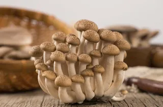 菌类食品蟹味菇图片