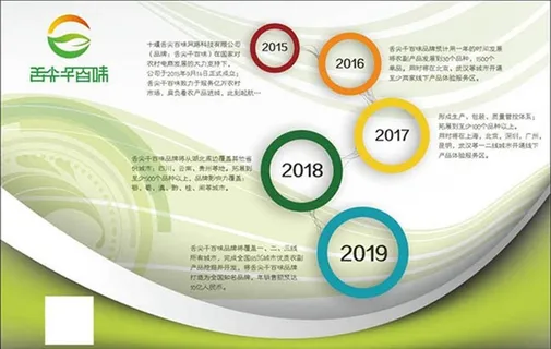 发展历程展板图片