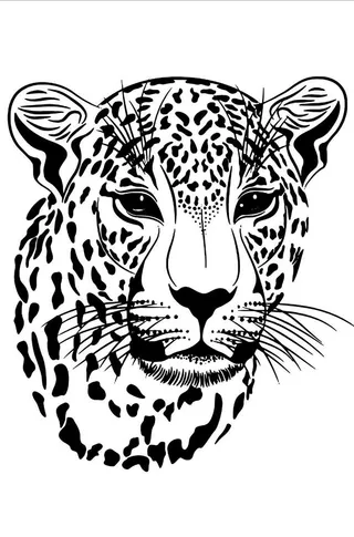 豹子矢量图图片