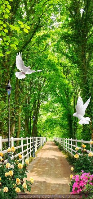 树林小路玄关背景墙图片