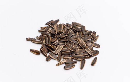 瓜子图片