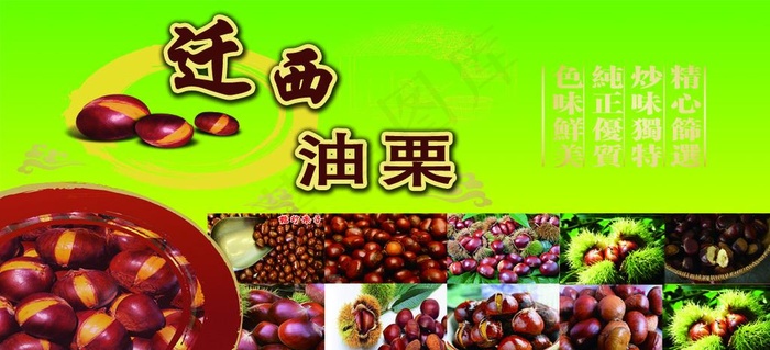 迁西 油栗图片
