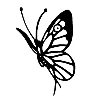 蝴蝶矢量图图片 蝴蝶矢量图图片