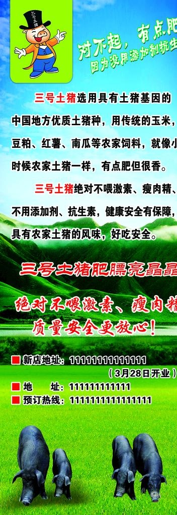 黑猪土猪展架图片(2364x6299)psd模版下载