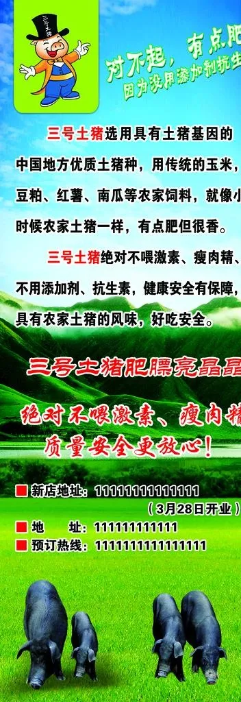 黑猪土猪展架图片(2364x6299)psd模版下载