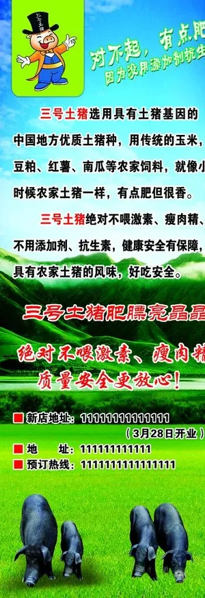 黑猪土猪展架图片