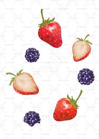 手绘草莓 桑葚图片