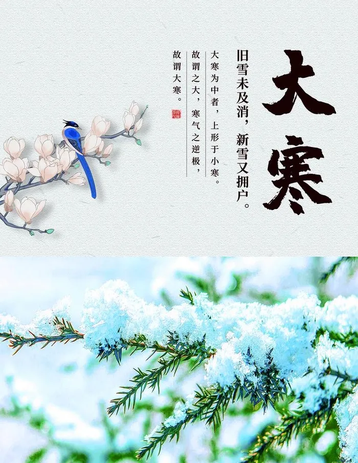 大寒图片(1701x2268)psd模版下载