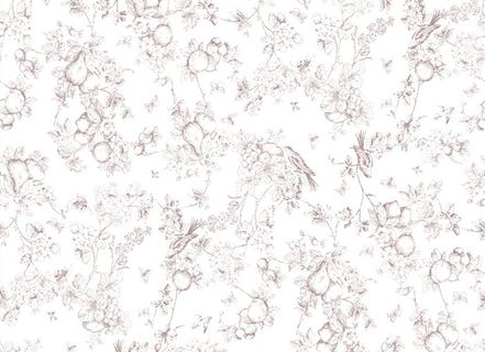 线条花 手绘花图片