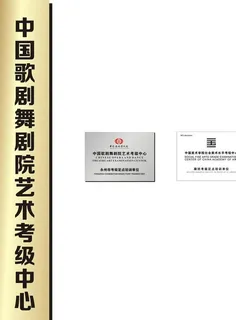 中国歌剧舞剧院艺术考级中心广告图片