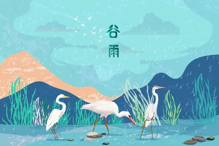 白鹭谷雨插画图片ai矢量模版下载
