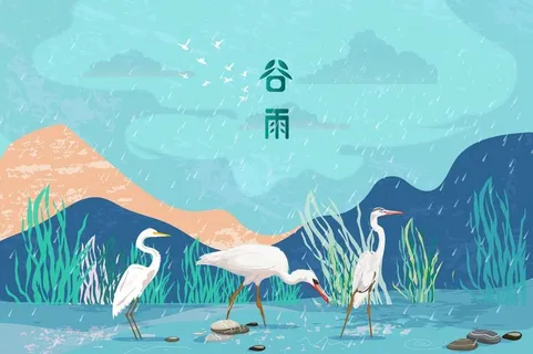 白鹭谷雨插画图片