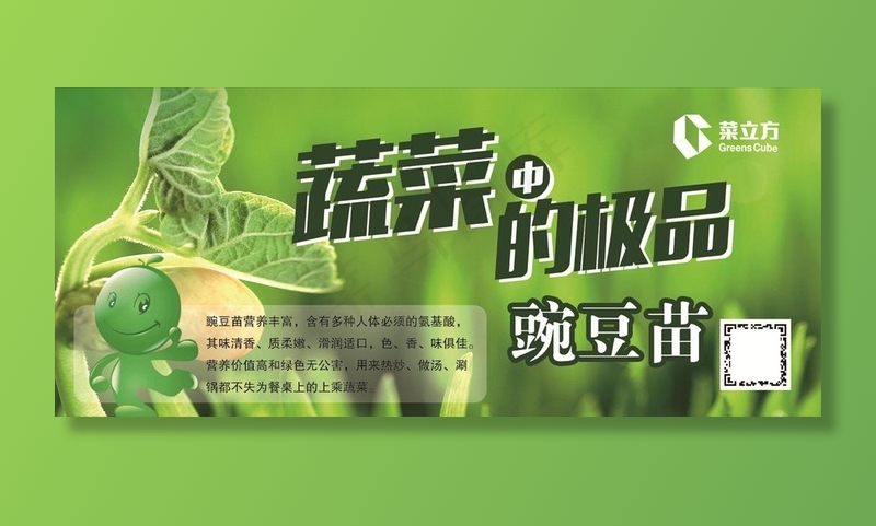 芽苗菜 豌豆芽 菜立方 蔬菜图片