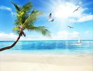 沙滩风景图片