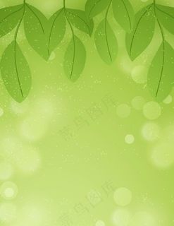 绿色背景图片