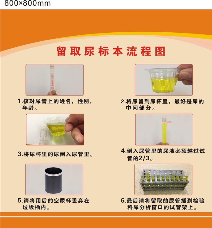 留取尿标本流程图图片cdr矢量模版下载